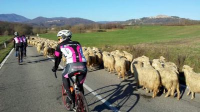 Country life - bicycling in Tuscany!