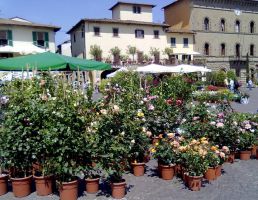 F�te des fleurs Toscane